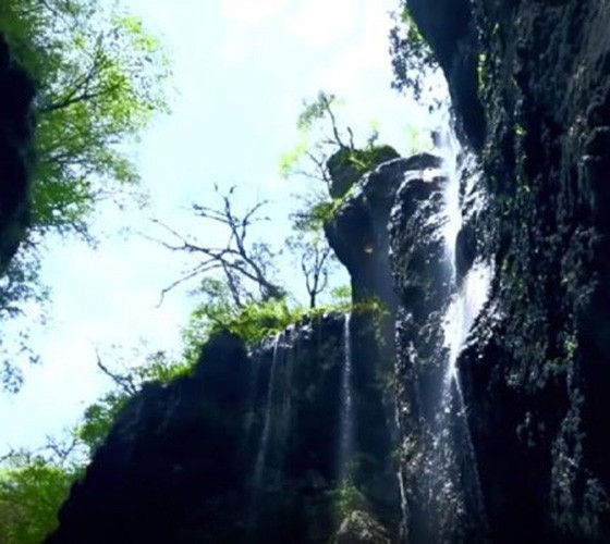 青山綠水，白龍江畔江畔息白鷺，兩岸綠橄欖入眼的都是純樸自然枝上花開(kāi)，春來(lái)水暖魚(yú)蝦戲水，鳥(niǎo)語(yǔ)花香心中充滿(mǎn)著舒暢之感祥宇生態(tài)產(chǎn)業(yè)園，位于隴南市武..